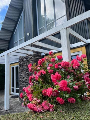 Gondwana Chalet Perfect For All Seasons Ohakune Zewnętrze zdjęcie